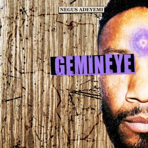 Gemineye Book cover by Negus Adeyemi